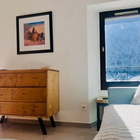 Modern Flat In The Heart Of 霞慕尼